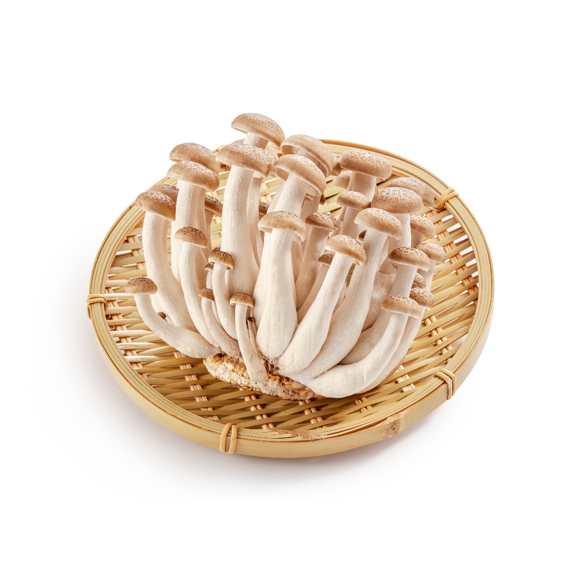 ユキグニ(京丹波バイオセンター)さんの大粒丹波しめじ