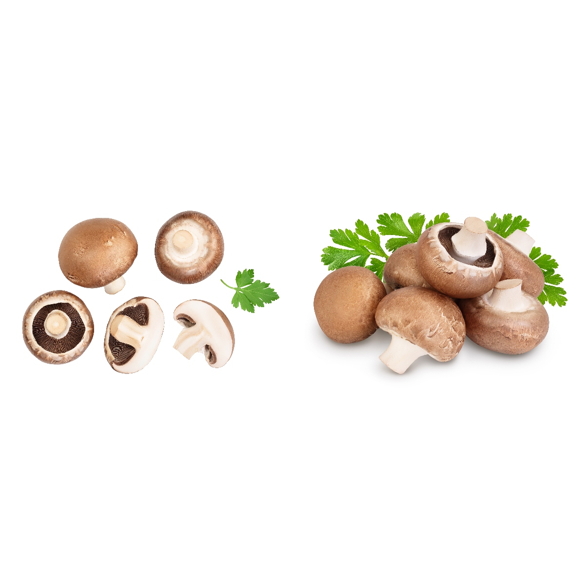 六甲シャンピニオンさんのブラウンマッシュルーム