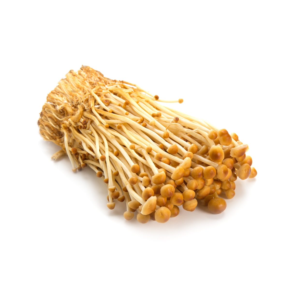 加藤えのきさんのブラウンえのき