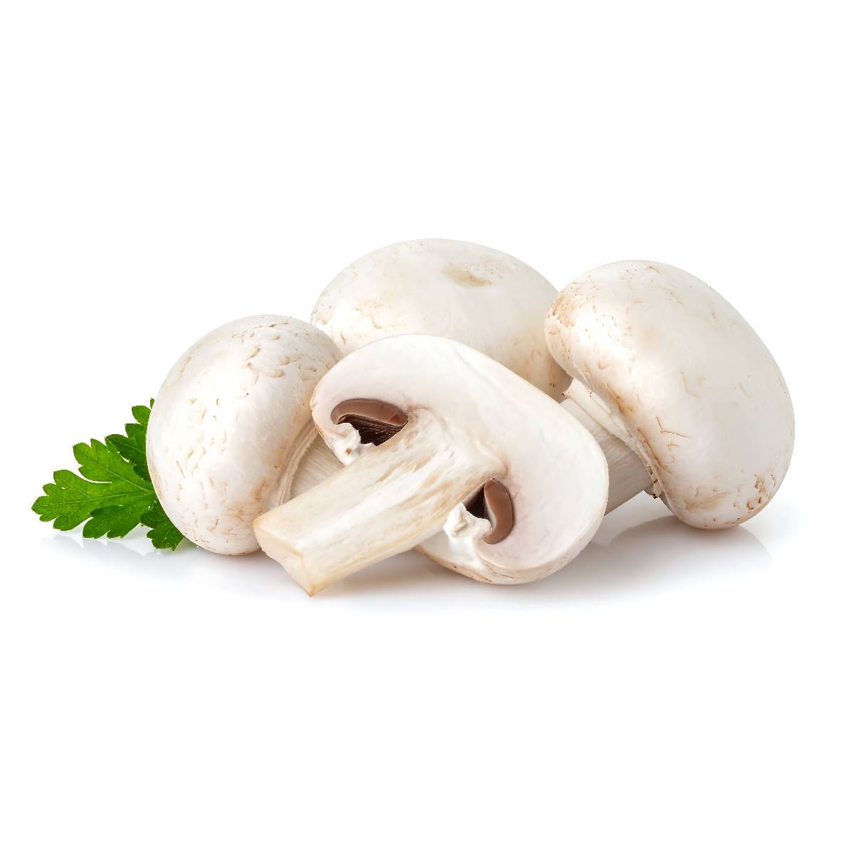 六甲シャンピニオンさんのホワイトマッシュルーム