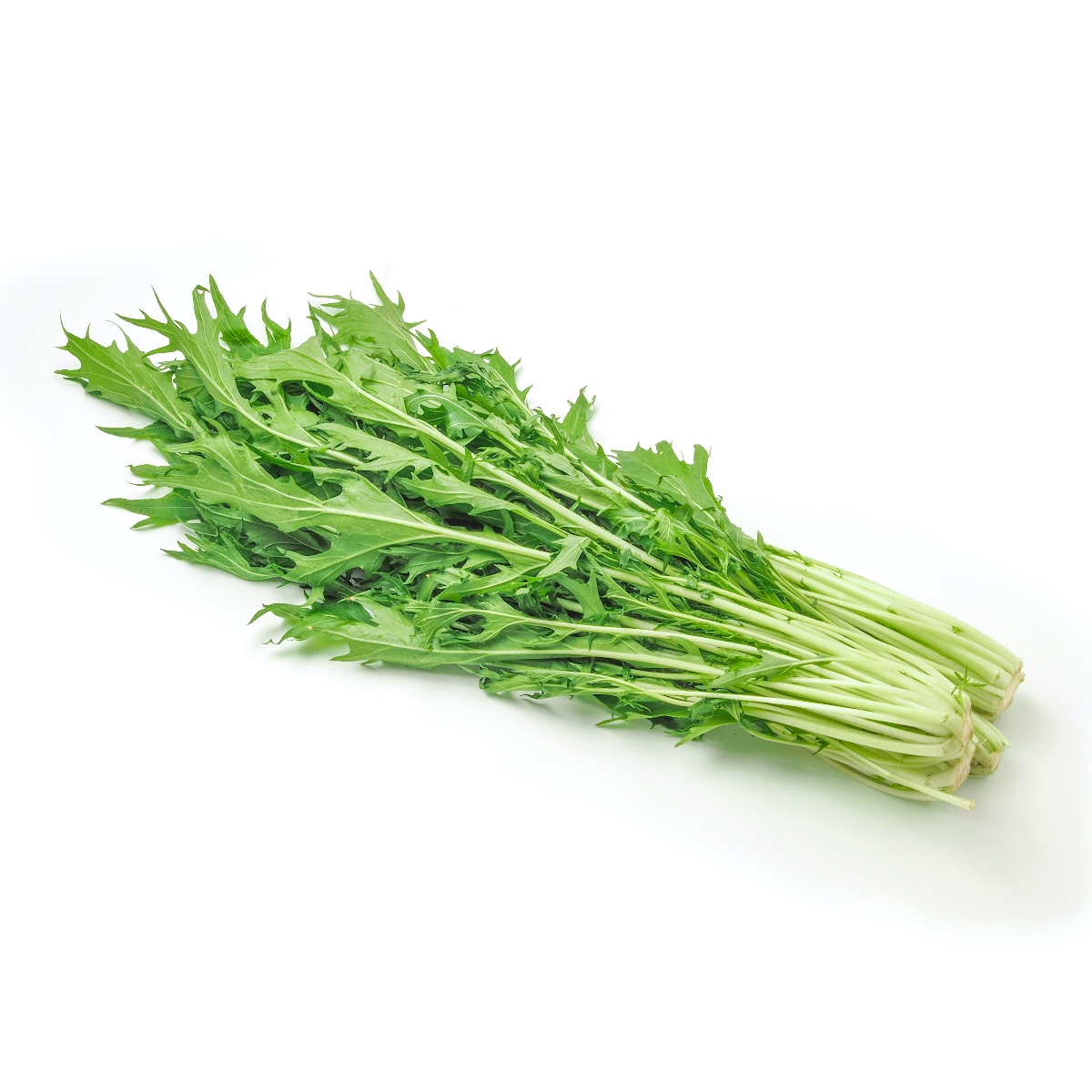 赤江オーガニックファームさんのミズナ