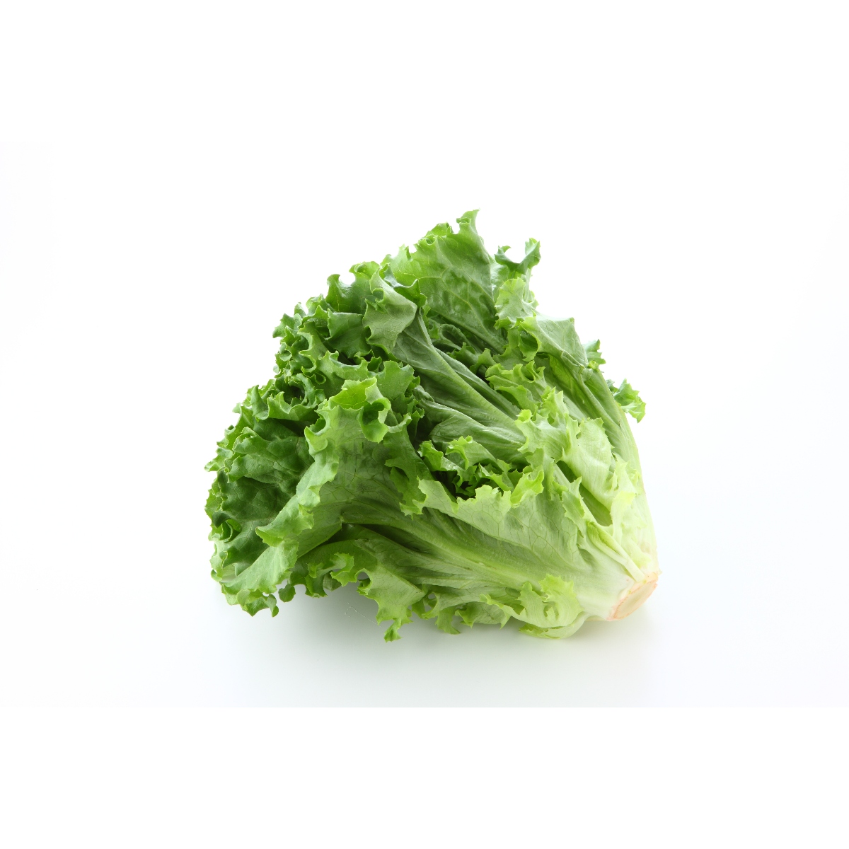水田農園さんのリーフレタス(みどり)