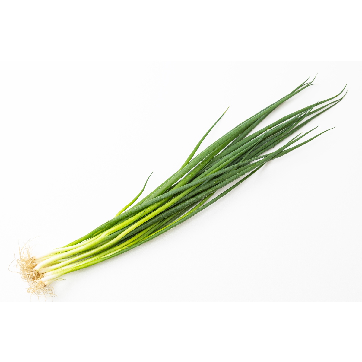 大地と自然の恵みさんの葉ネギ