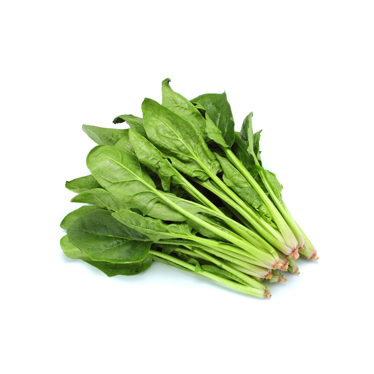 ラウアイさんのほうれんそう