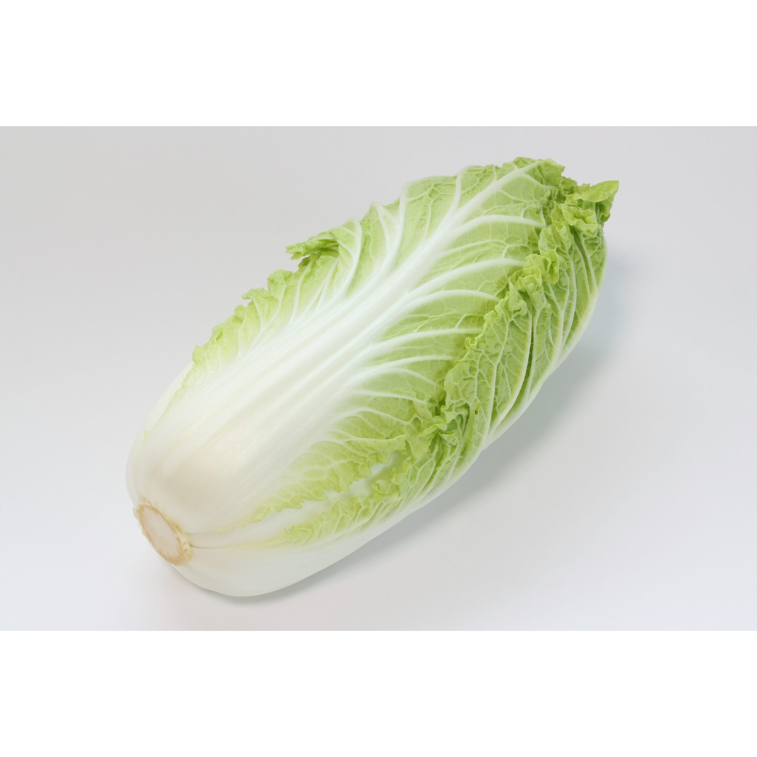 和歌山産白菜