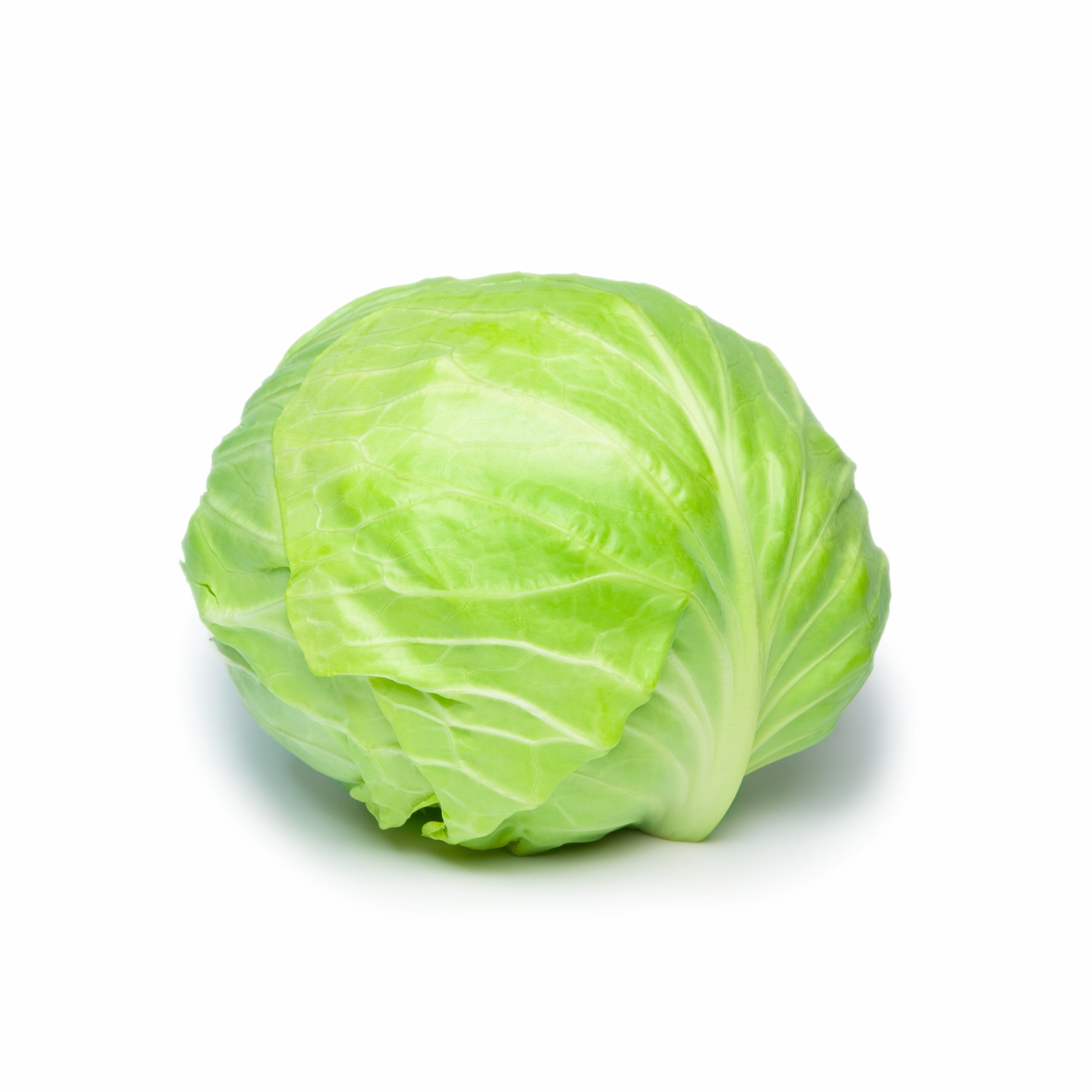和歌山産キャベツ